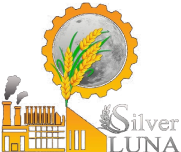 logo_Silver-Luna
